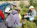 Petite incursion dans le monde des lichens avec un spécialiste en la matière. - Photo : Martine Lapointe