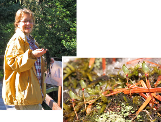 Récipiendaire 2005 du Sporophyte d'Or de la Randonnée Kucyniak