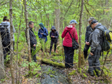 Exploration d'une forêt humide. - Photo : Mélodie Paquet.